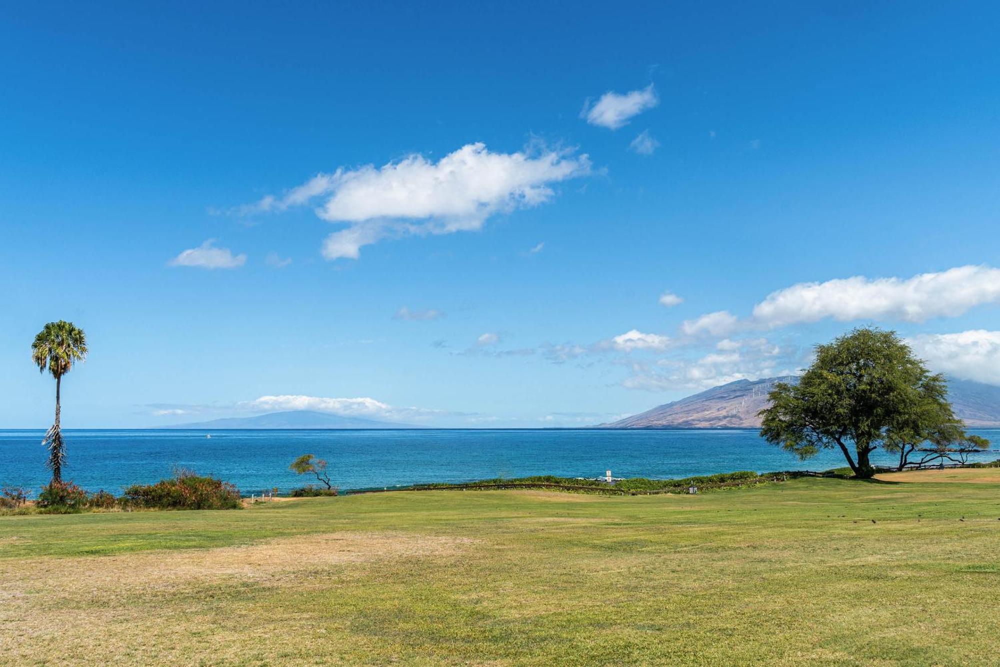 Appartement Maui Banyan Q-109 à Wailea  Extérieur photo